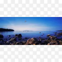 大海海鸥海报素材