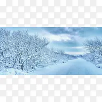 雪地