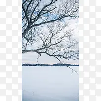 冰雪世界白色户外场景摄影H5背景