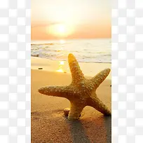 黄色海边落日海星H5背景素材