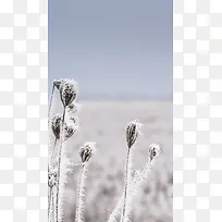 冬季大雪大草地H5背景素材