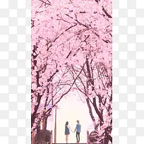 粉色樱花H5背景