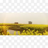 油菜花风景下载素材