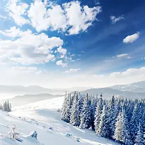 冬季雪路背景