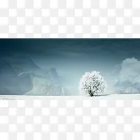 摄影白雪覆盖的树
