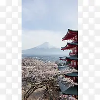 樱花富士山H5背景