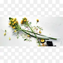 花卉背景图