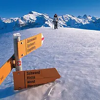 冰晶雪景 运动户外 保温杯 直通车 主图