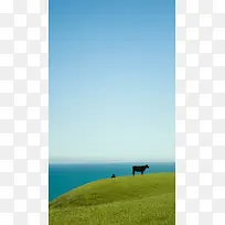 天空草原风景H5背景