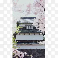 粉色樱花H5背景