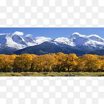 淘宝背景图