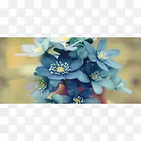 淘宝背景图