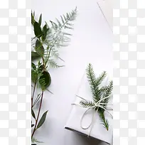 千库网—简洁礼物绿色植物礼物礼盒灰色H5