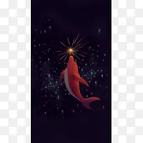 夜空下的红鲨鱼海报背景
