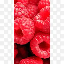 野草莓水果H5背景