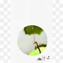 简约清新中国传统24节气惊蛰海报背景素材