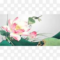中国风手绘荷花与蜻蜓背景素材
