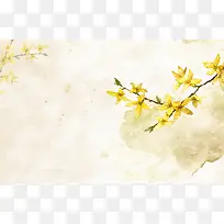中国风迎春花海报背景