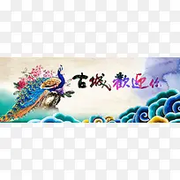 古风孔雀背景