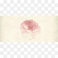 中国风水墨画玫瑰平面广告