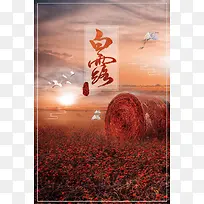 中国传统二十四节气白露