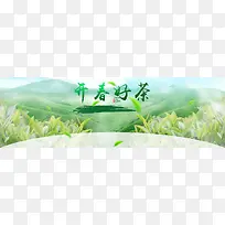 开春好茶茶叶文化网站PSD分层