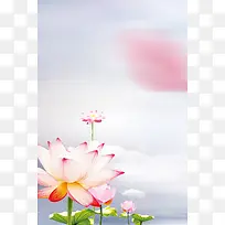 荷韵夏至时节宣传海报背景素材