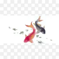 水墨毛笔画鲤鱼背景图片