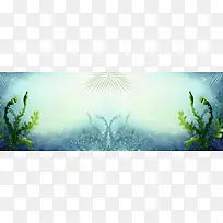 海底海藻