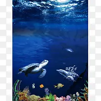海底世界海族馆捕鱼达人海报背景素材