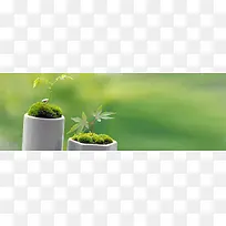 盘栽banner创意设计