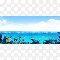 蓝天碧海生物世界