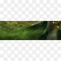 梦幻森林背景