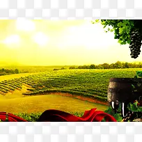 葡萄酒生产基地高清背景