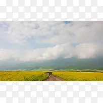 秋天金色海报背景素材