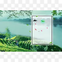 清明节茶叶宣传海报