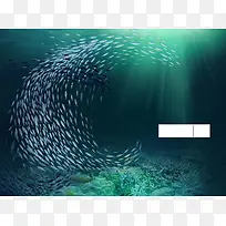 深海鱼类鱼群珊瑚海底蓝色光线