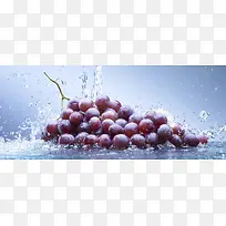 葡萄 水 清新 水果