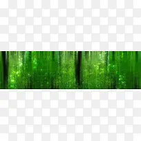 树林梦幻清新背景banner