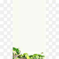 淘宝天猫新鲜绿色蔬菜H5背景