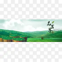 中国茶道茶艺茶园背景