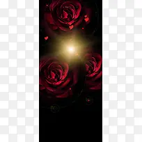 玫瑰花展架背景模板