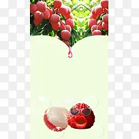 荔枝广告水果背景素材