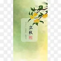 绿色节气H5背景