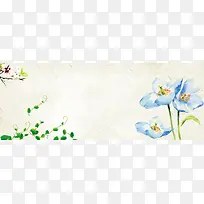 韩式花朵背景图