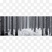 树林冬季雪景背景banner