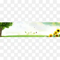卡通教育清新背景banner
