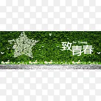 绿色背景 