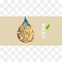 糙米粮食背景