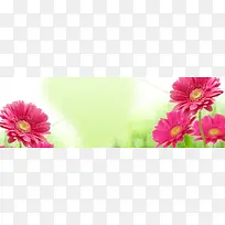花开烂漫淘宝海报背景